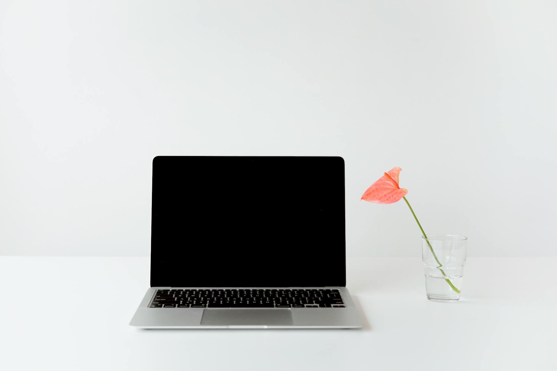 A minimalist workspace featuring a laptop and a red anthurium in a glass vase on a white desk.
