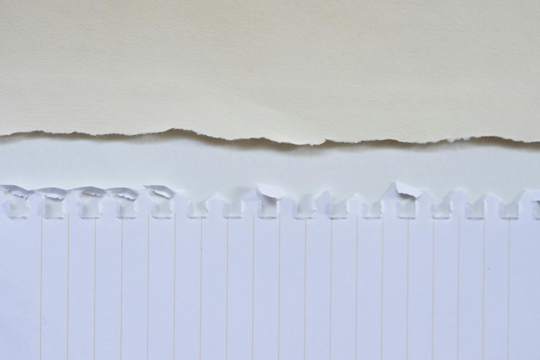 Detailed view of a torn paper edge on a white background, showcasing texture and pattern.